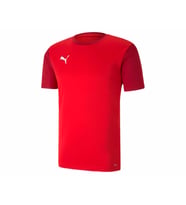 Puma Teamgoal 23 Sideline Tee Erkek Futbol Antrenman Tişörtü 65648401 Kırmızı
