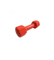 AVESSA PVC-3 KG 3 KG PVC DAMBIL KAPLAMA 2 KRL307