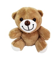 Sevimli Peluş Ayicik