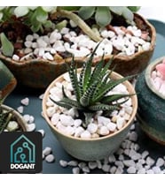 Beyaz Dolomit Saksı Dere Taşı 1Kg