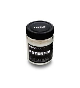 Cereus Nocte Potentia Sandal Ağacı Kokulu Soya Mum (210 Gr)