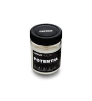 Cereus Nocte Potentia Sandal Ağacı Kokulu Soya Mum (210 Gr)