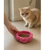 Eko Form Model Beton Kedi Köpek Mama ve Su Kabı (16cm*16cm*5.5cm) - Pembe