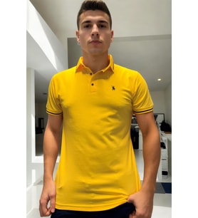 T8586 DEWBERRY ERKEK POLO YAKA T-SHIRT-DÜZ SARI