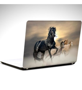 Siyah At Laptop Sticker 19 inch (40,5X27CM)