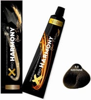 X Harmony 4.00 Kestane Saç Boyası 60 G Tüp