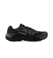 Salomon Alphaglide Gtx Erkek Koşu Ayakkabı L47802100 Renkli (Çok Renkli)