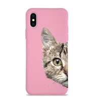 Apple iPhone X Uyumlu Lansman Kılıf Catface Tasarımlı Altı Kapalı İçi Kadife Kaplı Silikon Kapak (Şeffaf)