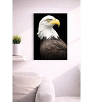 EAGLE29 TASARIM MDF TABLO (27X18)