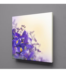 MOR MENEKŞELER KANVAS TABLO 110x110cm (Karışık)