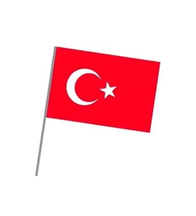 Sopalı Kağıt Bayrak Büyük 10 Adet