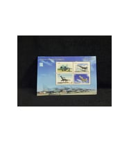 #23019 GUYANA 2010 AVIATION CHINESE CENTENARY MS YV 6022-5 MNH Savaş Uçak Temalı