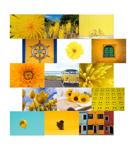 Orora Yellow Temalı Poster Duvar Kağıdı Seti-15li-230g-A5