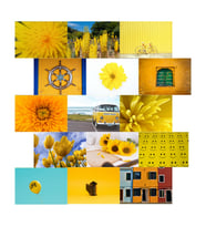 Orora Yellow Temalı Poster Duvar Kağıdı Seti-15li-230g-A5