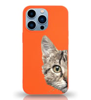 Apple iPhone 13 Pro Uyumlu Lansman Kılıf Catface Tasarımlı İçi Kadife Kapak-Turuncu (Şeffaf)