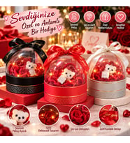 Işıklı Güllü Peluş Ayıcık Hediye Kutusu