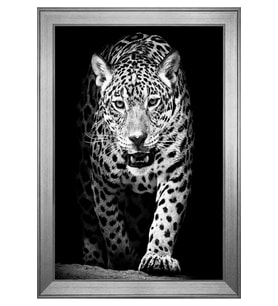 Hayvanlar Temalı Kanvas Tablo 80 x 110 cm Silver Çerçeve