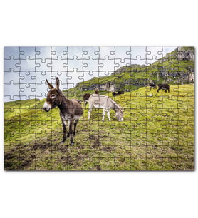 Cakapuzzle Yeşil Tepelerde Otlayan Eşekler Puzzle Yapboz MDF (Ahşap) (120 Parça)