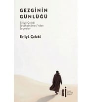 Gezginin Günlüğü