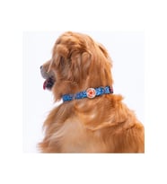 Charm Nazar Boncuğu Desenli Köpek Boyun Tasması Ayarlanabilir Köpek Tasması
