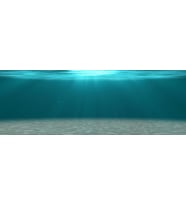 Kanki Pet KP18565006 Akvaryum Arka Fon Yapıştırma 185 x 65 CM