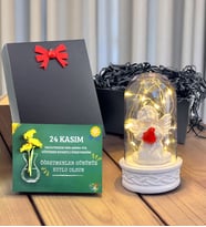 24 Kasım Öğretmenler Günü Hediyesi Melek Öğretmenim Temalı Led Işıklı Fanus Öğretmene Hediye