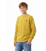 Erkek Çocuk Sweatshirt BGL-ST05228