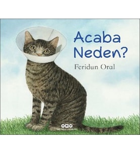 Acaba Neden?