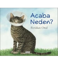 Acaba Neden?
