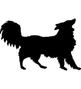 Folyo Sticker Köpek 60cm Uzunluk (Karışık)