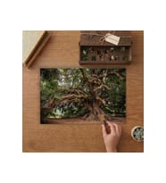 Zeytin Ağacı Eski Ağaç Tasarımı 240 parça Ahşap Puzzle Ahşap Kutuda MP01994