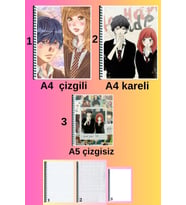 ao haru ride 3 adet defter seti A4 büyük boy 72 sayfa çizgili_kareli + A5 çizgisiz defter seti