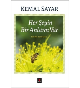 Herşeyin Bir Anlamı Var Kemal Sayar Kapı Yayınları