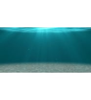 Kanki Pet KP1256306 Akvaryum Arka Fon Yapıştırma 125 x 63 CM