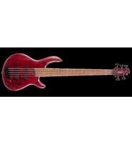 CORT B5 ELEMENT OPBR