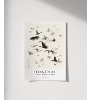 Çerçevesiz Poster Hokusai Hokusai'nin Kelebekleri ve Güveleri (Çok Renkli)