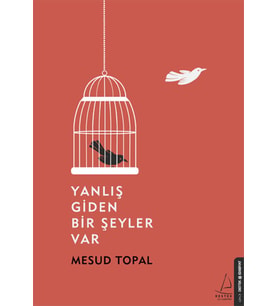 Yanlış Giden Bir Şeyler Var