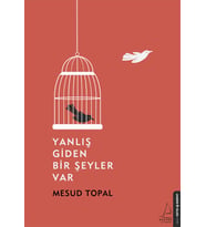 Yanlış Giden Bir Şeyler Var