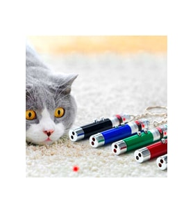 3 Fonksiyonlu Kırmızı Beyaz Işıklı Led Lazer Kedi Köpek Oyuncak Anahtarlık GO-53-vice 00885