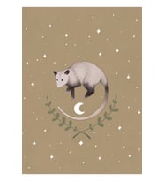 Yıldızlardaki Possum Tablo Ahşap Poster Dekoratif