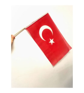 10'lu Elde Sallama Türk Bayrağı 30x45