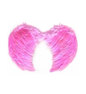Pembe Melek Kanadı Kostümü Küçük (Çok Renkli)