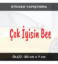 çok iyisin be kırmızı etiket sticker - 2 adet çıkartma araba motosiklet kask atv tablet pc buzdolabı otomobil bilgisayar uyumlu