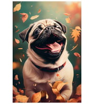 Kanvas Tablo Son Bahar Yaprakları Arasında Pug Köpek Temalı Kanvas Tablo