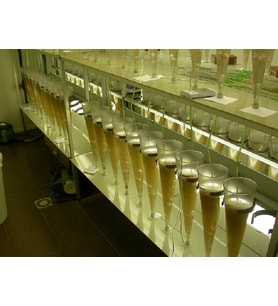 Artemia Büyütme Zenginleştirme Besini **50GR**