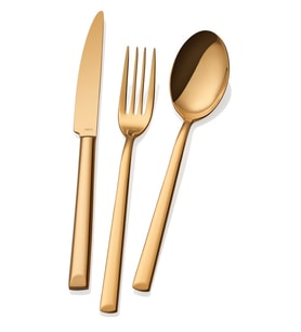 Antares Serisi - Gold Titanyum - 24 Parça