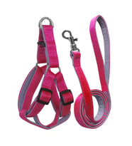 Gezdirme Kayışlı Dokuma Köpek Göğüs Tasma Seti 32*47-110 cm Pembe