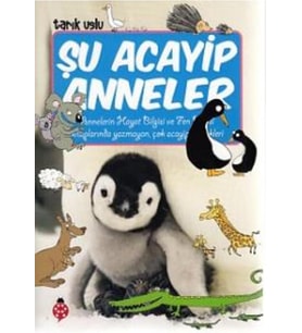 Şu Acayip Anneler