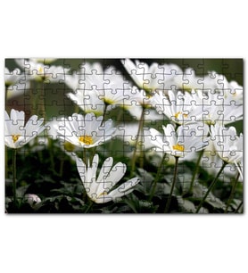 Cakapuzzle Taçlı Beyaz Dağ Laleleri Yakın Çekim Puzzle Yapboz MDF (Ahşap) (120 Parça)