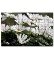 Cakapuzzle Taçlı Beyaz Dağ Laleleri Yakın Çekim Puzzle Yapboz MDF (Ahşap) (120 Parça)